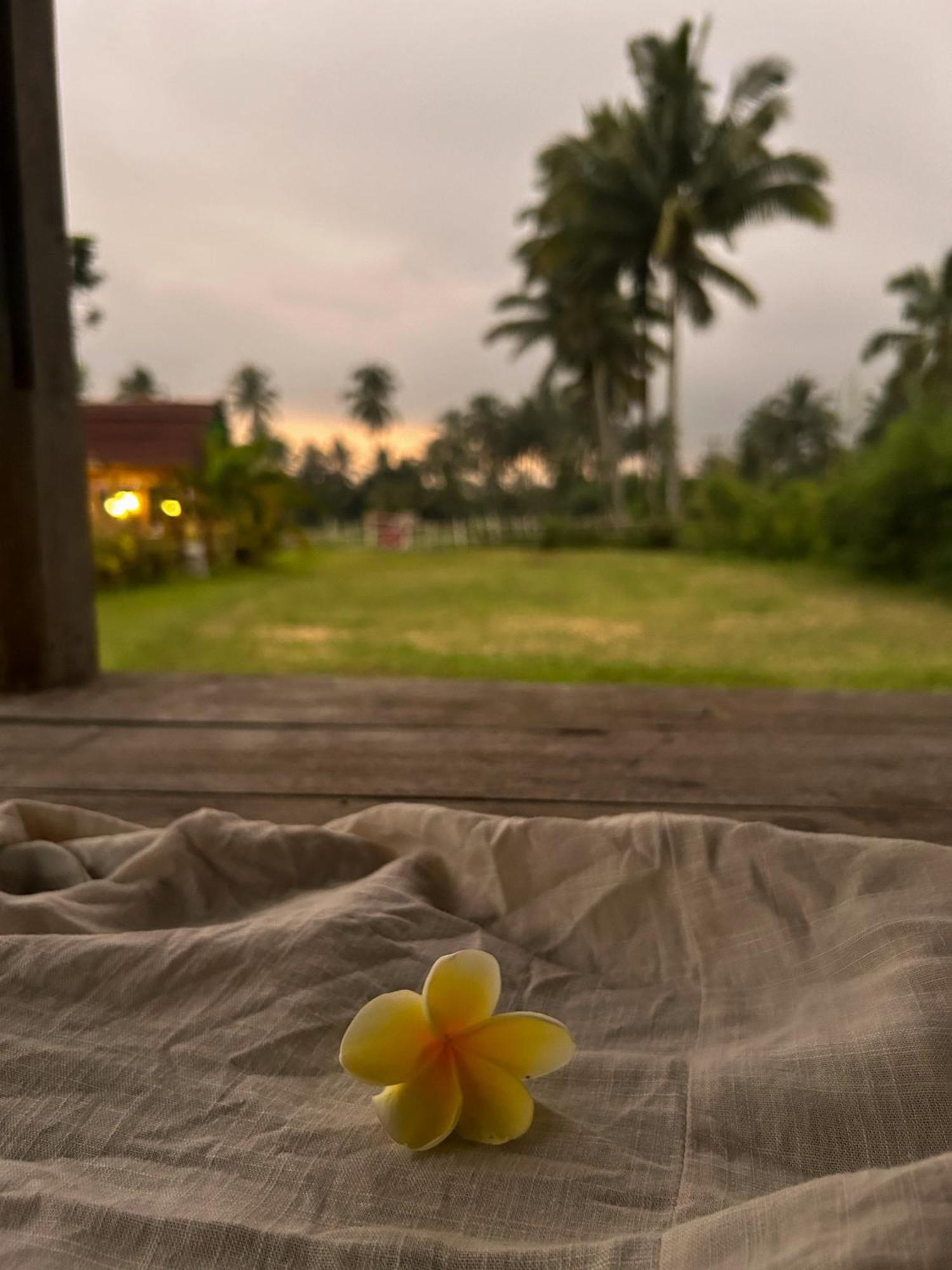Linkgreen Homestay Lombok Tetebatu Εξωτερικό φωτογραφία