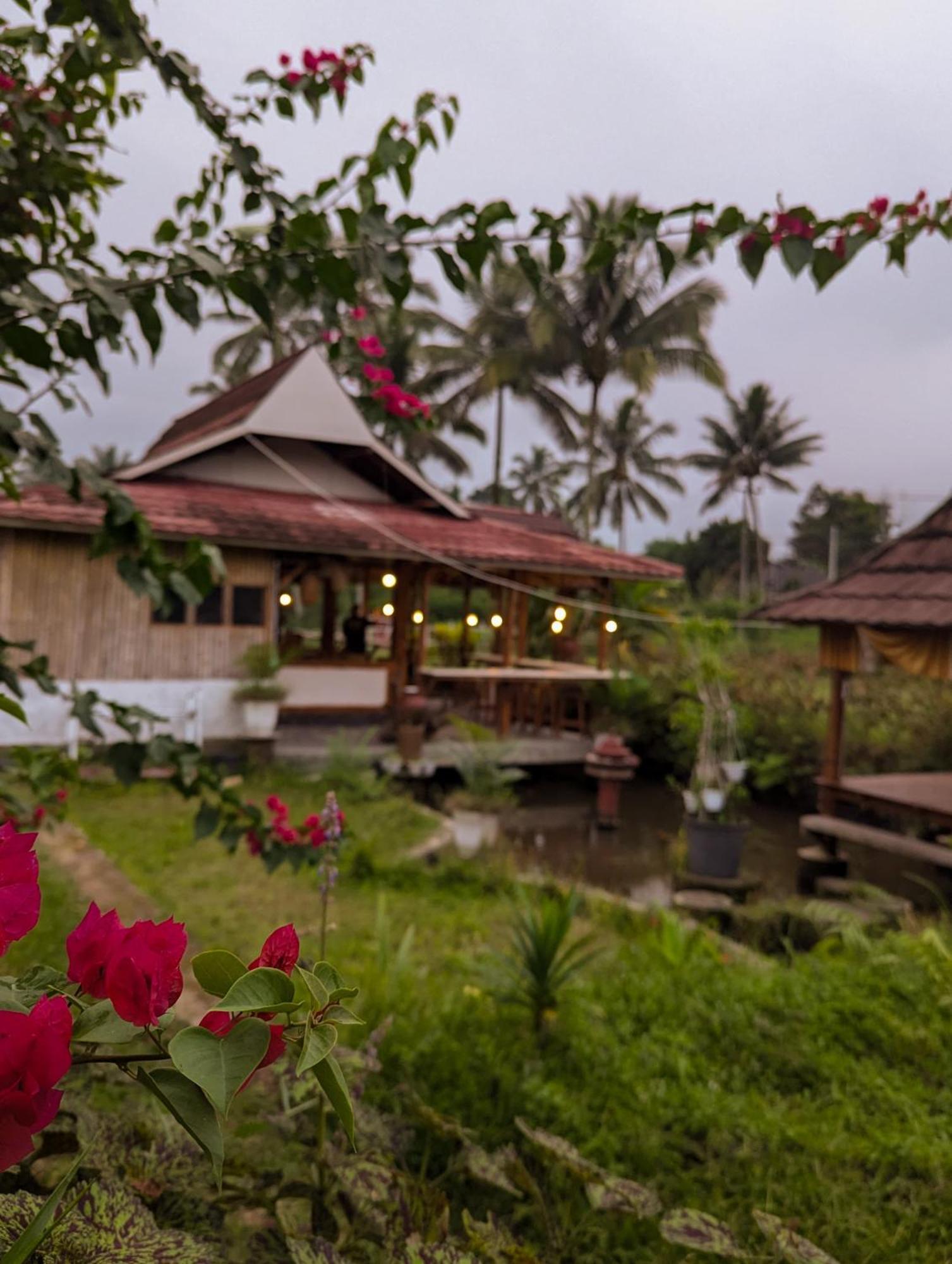 Linkgreen Homestay Lombok Tetebatu Εξωτερικό φωτογραφία