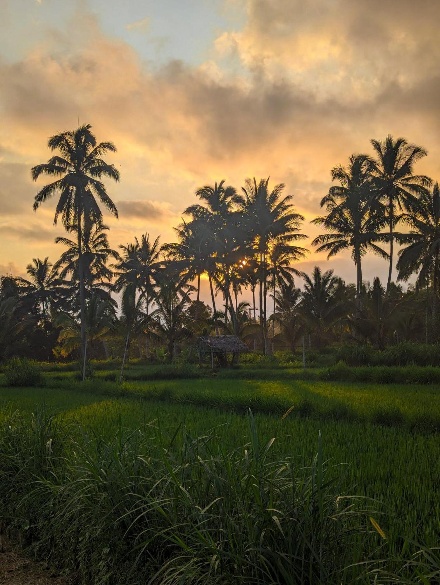 Linkgreen Homestay Lombok Tetebatu Εξωτερικό φωτογραφία